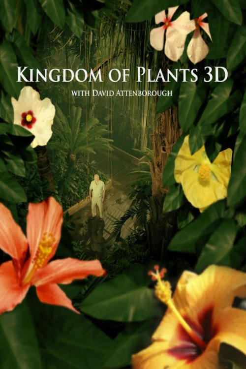 kingdom-of-plants