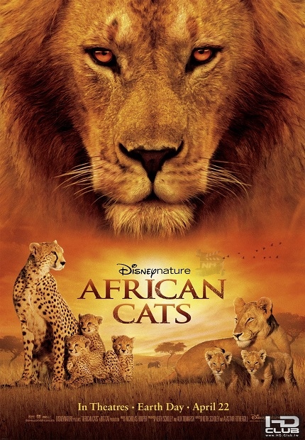 african-cats_