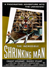دانلود movie The Incredible Shrinking Man 1957